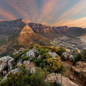 Africa