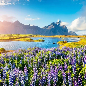 Iceland