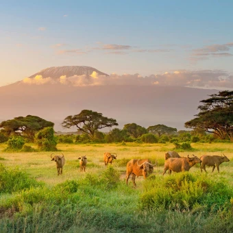 Kenya
