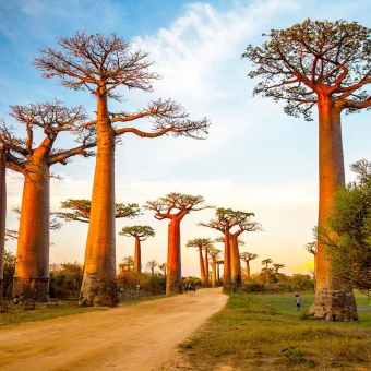 Madagascar