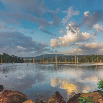 Suriname