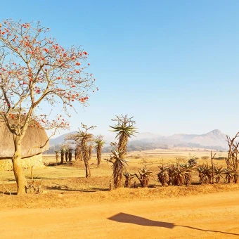 Swaziland
