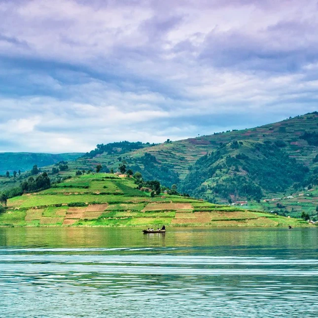 Democratic Republic of the Congo