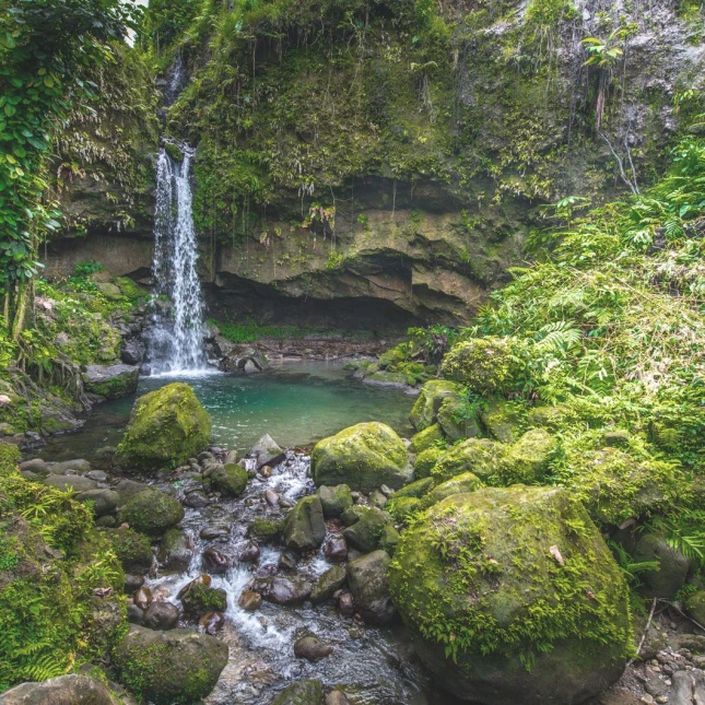 Dominica