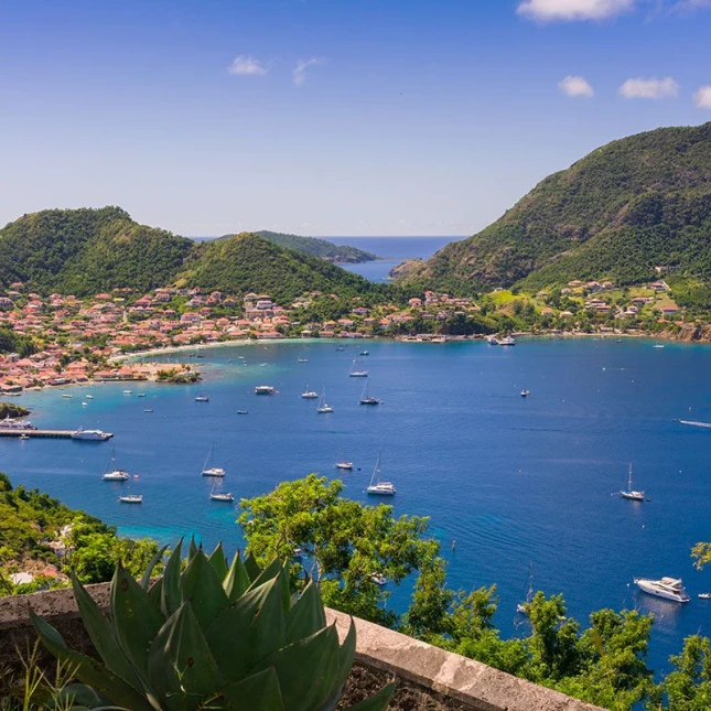 Guadelupe