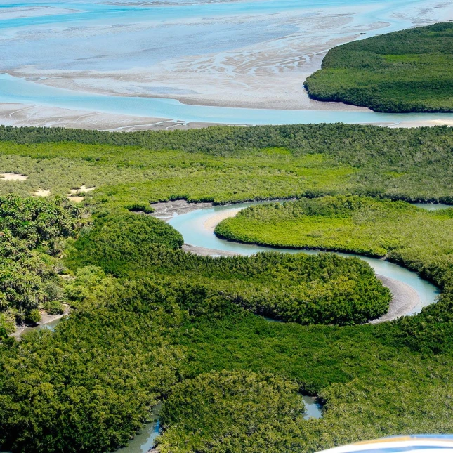 Guinea-Bissau