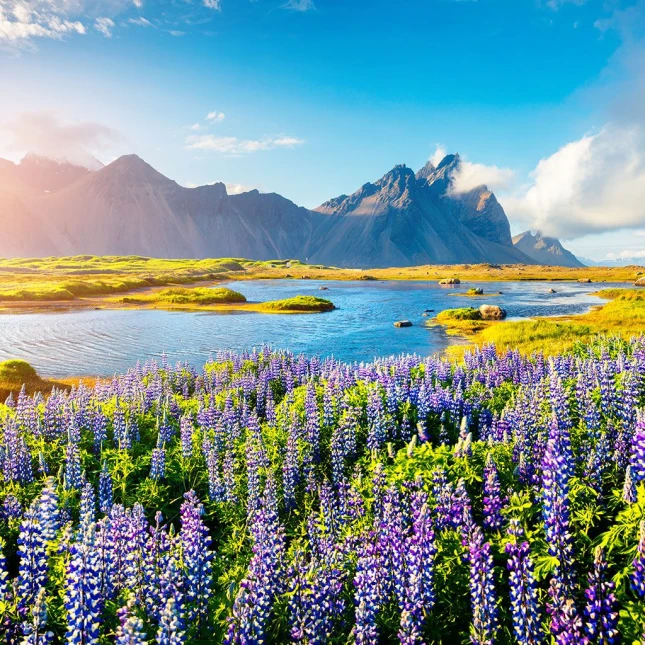 Iceland