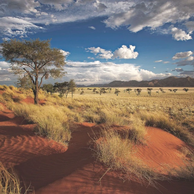 Namibia