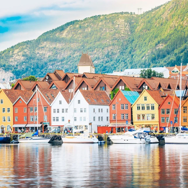 Norveç