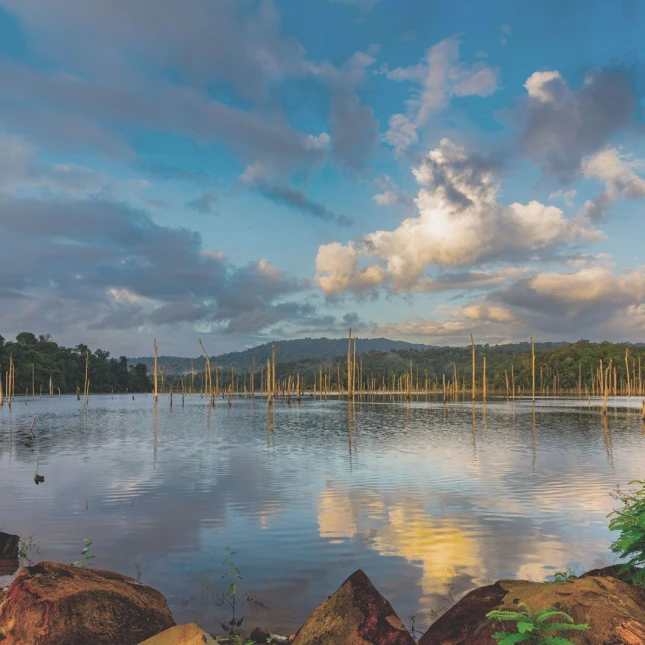 Suriname