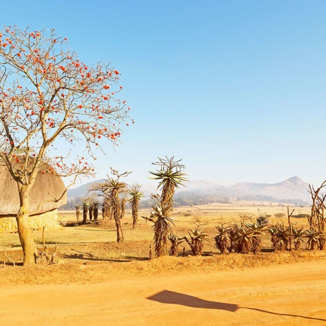Swaziland