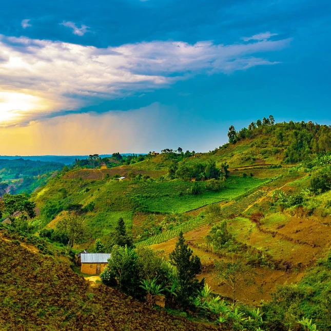 Uganda